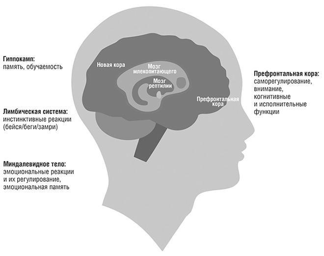 Иллюстрация к книге — Единоплеменники. Сплотить, убедить, вдохновить [i_009.jpg]