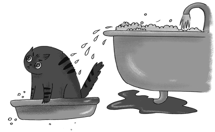 Иллюстрация к книге — КОТоЛОГИКА. О чем молчит кошка [i_005.jpg]