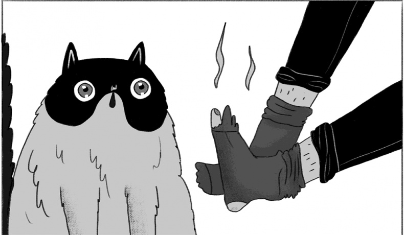 Иллюстрация к книге — КОТоЛОГИКА. О чем молчит кошка [i_006.jpg]