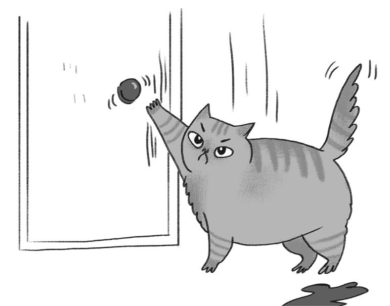 Иллюстрация к книге — КОТоЛОГИКА. О чем молчит кошка [i_007.jpg]