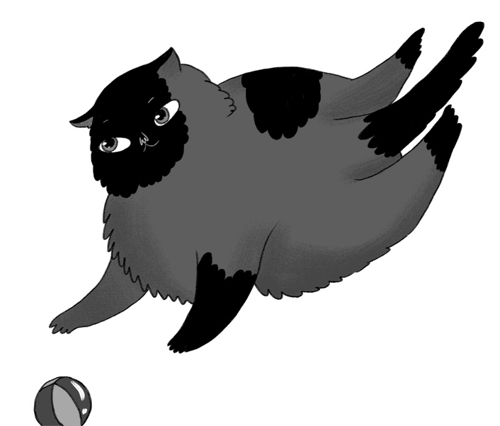 Иллюстрация к книге — КОТоЛОГИКА. О чем молчит кошка [i_009.jpg]