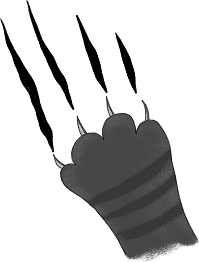 Иллюстрация к книге — КОТоЛОГИКА. О чем молчит кошка [i_011.jpg]