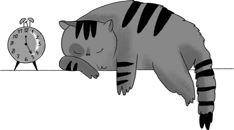 Иллюстрация к книге — КОТоЛОГИКА. О чем молчит кошка [i_012.jpg]