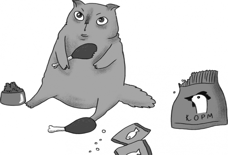 Иллюстрация к книге — КОТоЛОГИКА. О чем молчит кошка [i_014.jpg]