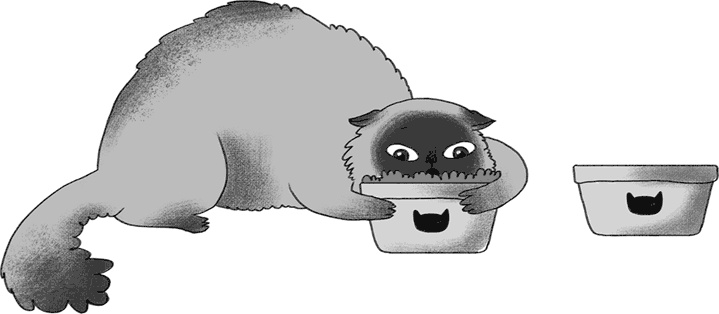 Иллюстрация к книге — КОТоЛОГИКА. О чем молчит кошка [i_015.jpg]