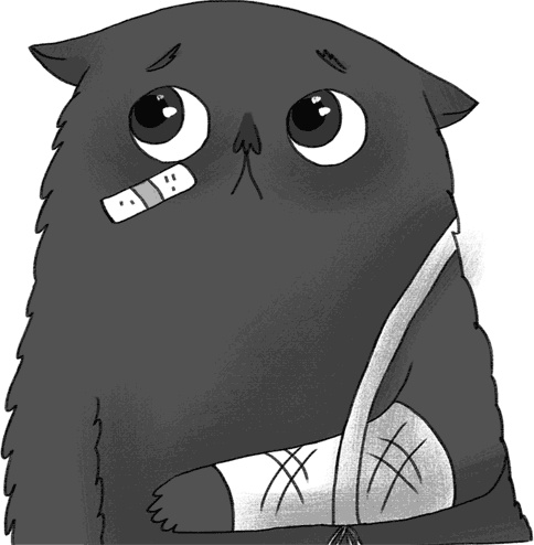 Иллюстрация к книге — КОТоЛОГИКА. О чем молчит кошка [i_017.jpg]