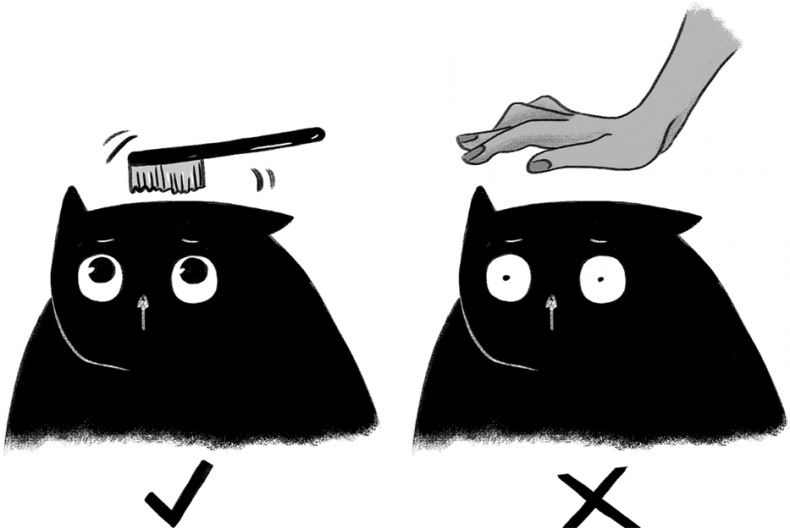 Иллюстрация к книге — КОТоЛОГИКА. О чем молчит кошка [i_019.jpg]