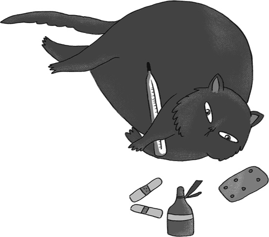 Иллюстрация к книге — КОТоЛОГИКА. О чем молчит кошка [i_023.jpg]