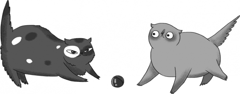 Иллюстрация к книге — КОТоЛОГИКА. О чем молчит кошка [i_030.jpg]