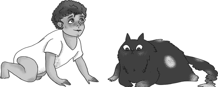 Иллюстрация к книге — КОТоЛОГИКА. О чем молчит кошка [i_033.jpg]