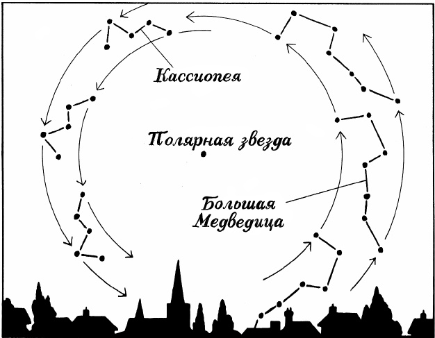 Иллюстрация к книге — Супернавигаторы. О чудесах навигации в животном мире [i_004.jpg]