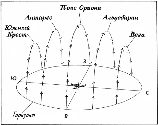 Иллюстрация к книге — Супернавигаторы. О чудесах навигации в животном мире [i_005.jpg]