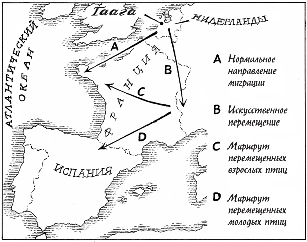 Иллюстрация к книге — Супернавигаторы. О чудесах навигации в животном мире [i_009.jpg]