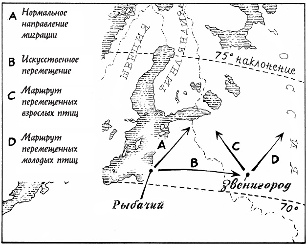 Иллюстрация к книге — Супернавигаторы. О чудесах навигации в животном мире [i_011.jpg]