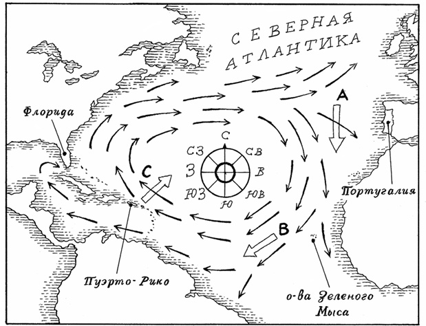 Иллюстрация к книге — Супернавигаторы. О чудесах навигации в животном мире [i_015.jpg]