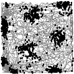 Иллюстрация к книге — Супернавигаторы. О чудесах навигации в животном мире [i_016.jpg]