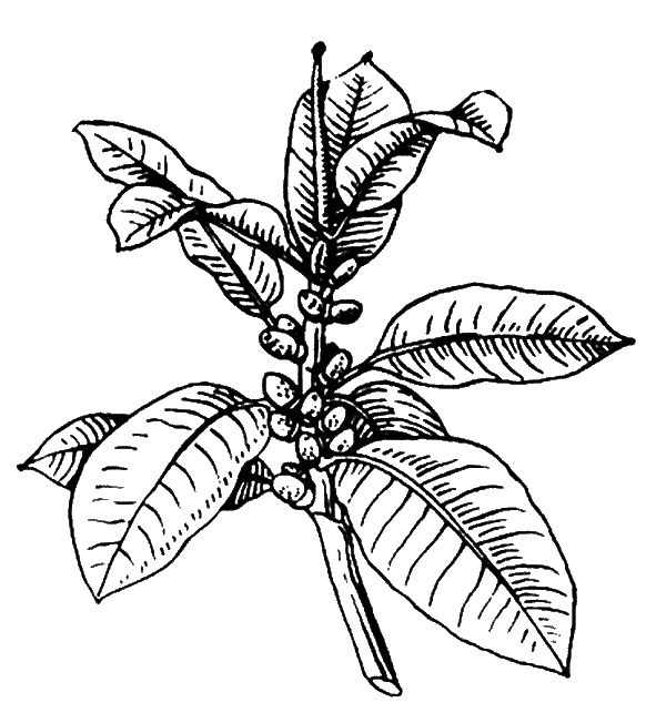 Иллюстрация к книге — Сад зеркал [i_018.jpg]