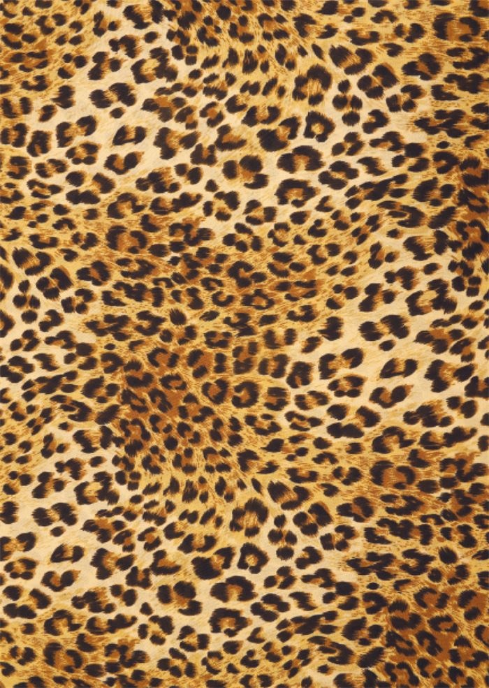 Иллюстрация к книге — Лечим «нечегонадеть» самостоятельно, или Почему вам не нужен «стилист» [i_049.jpg]