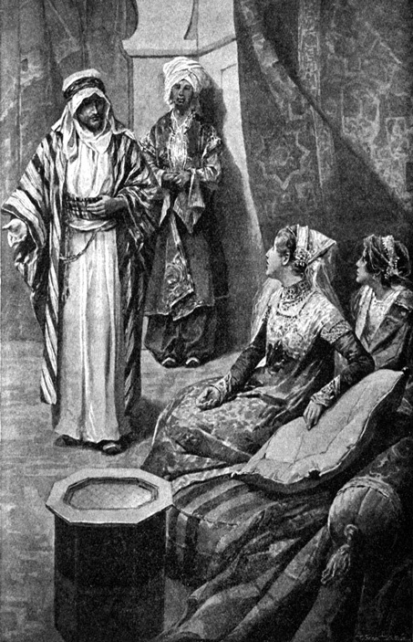 Иллюстрация к книге — Вечный странник, или Падение Константинополя [img_008.jpg]