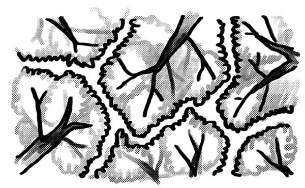 Иллюстрация к книге — Легко и просто. Как справляться с задачами, к которым страшно подступиться [i_085.jpg]