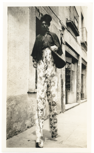 Иллюстрация к книге — Собрание птиц [i_004.jpg]