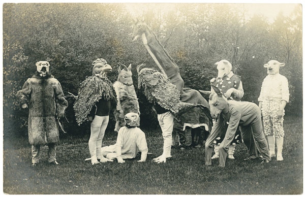 Иллюстрация к книге — Собрание птиц [i_005.jpg]