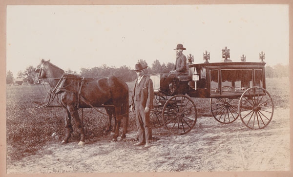 Иллюстрация к книге — Собрание птиц [i_020.jpg]