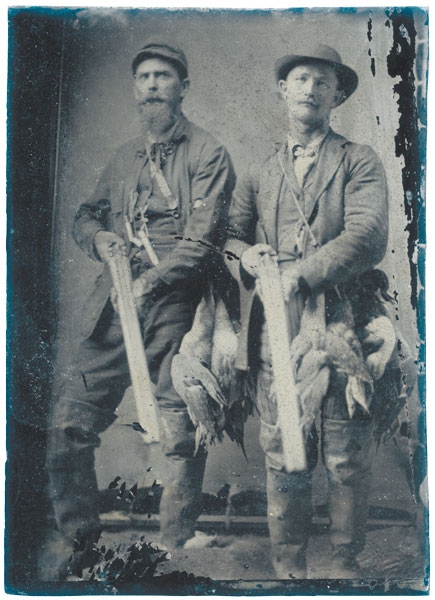 Иллюстрация к книге — Собрание птиц [i_022.jpg]