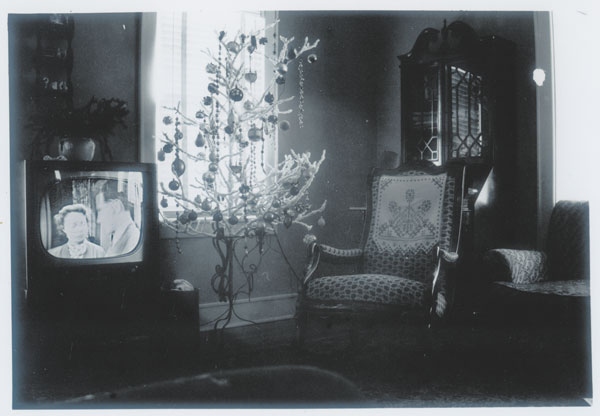 Иллюстрация к книге — Собрание птиц [i_029.jpg]