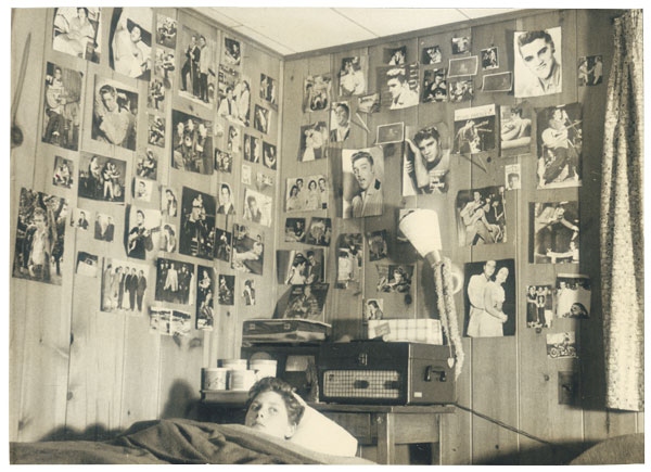 Иллюстрация к книге — Собрание птиц [i_030.jpg]