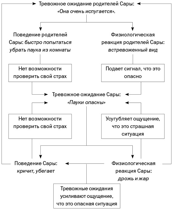 Иллюстрация к книге — Спокойные. Как помочь детям справиться со страхами и тревогой [img_22.jpg]