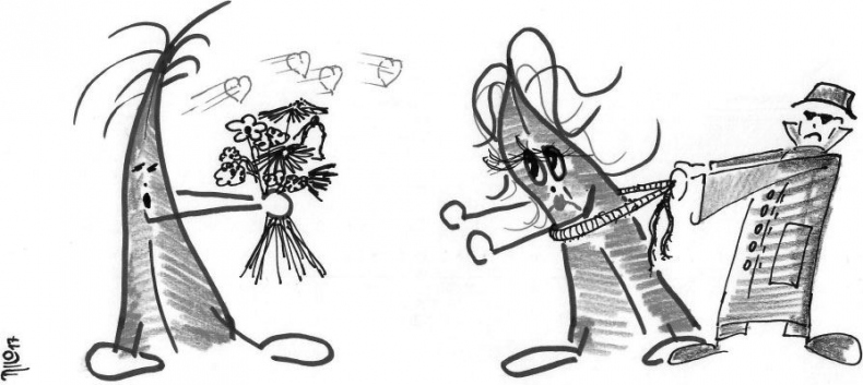 Иллюстрация к книге — Мышцы. Как у вас дела? [i_003.jpg]