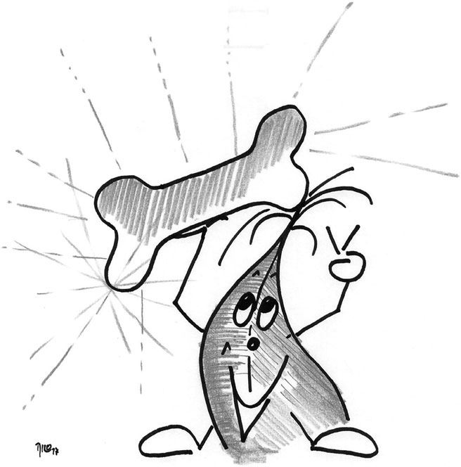 Иллюстрация к книге — Мышцы. Как у вас дела? [i_008.jpg]