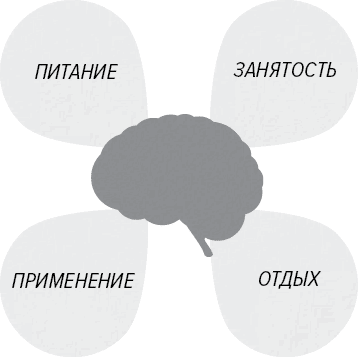 Иллюстрация к книге — Как генерить свежие идеи [i_024.jpg]