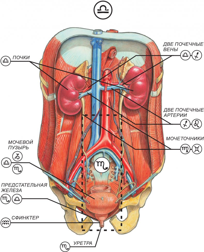 Иллюстрация к книге — Секреты классической медицинской астрологии. Древние способы постановки диагноза, выбора времени и оптимальных способов лечения [img4d1ec7a636a44f7daf220ece9fb11211.jpg]