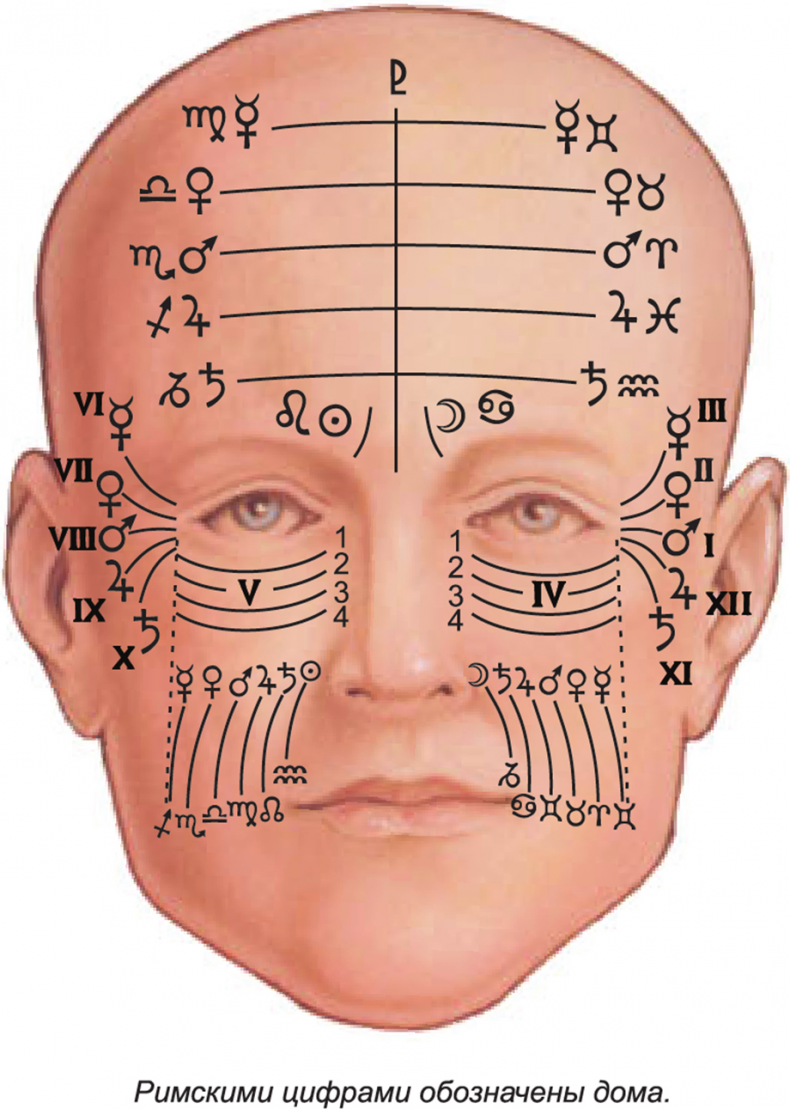 Иллюстрация к книге — Секреты классической медицинской астрологии. Древние способы постановки диагноза, выбора времени и оптимальных способов лечения [img8130949edc5b45e7a43847c82374d63e.jpg]