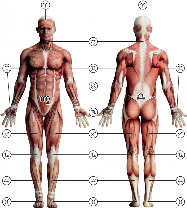 Иллюстрация к книге — Секреты классической медицинской астрологии. Древние способы постановки диагноза, выбора времени и оптимальных способов лечения [img993332e18884407ca22dbea1043b786d.jpg]