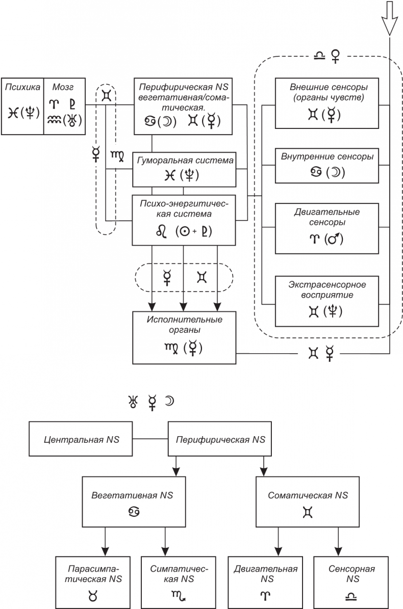 Иллюстрация к книге — Секреты классической медицинской астрологии. Древние способы постановки диагноза, выбора времени и оптимальных способов лечения [imgba3398958136433b8f9d3d480e069273.jpg]