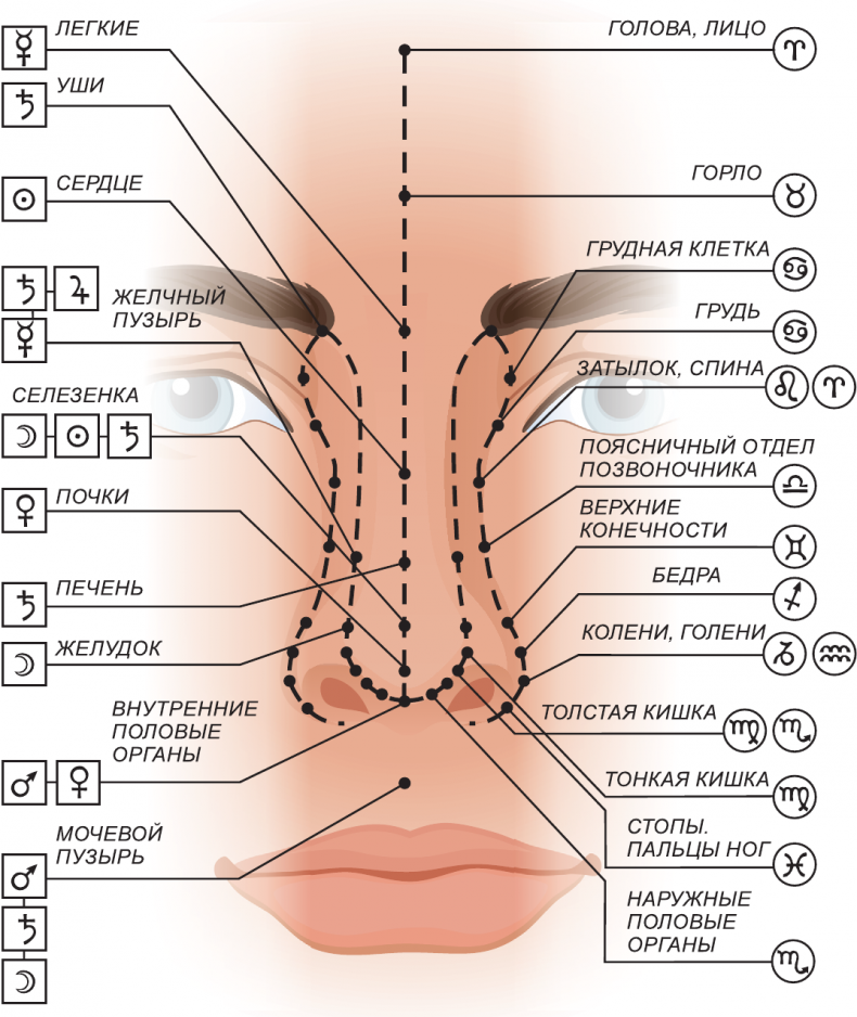 Иллюстрация к книге — Секреты классической медицинской астрологии. Древние способы постановки диагноза, выбора времени и оптимальных способов лечения [imge956824f79b94e25a87d8fa24f36388e.jpg]