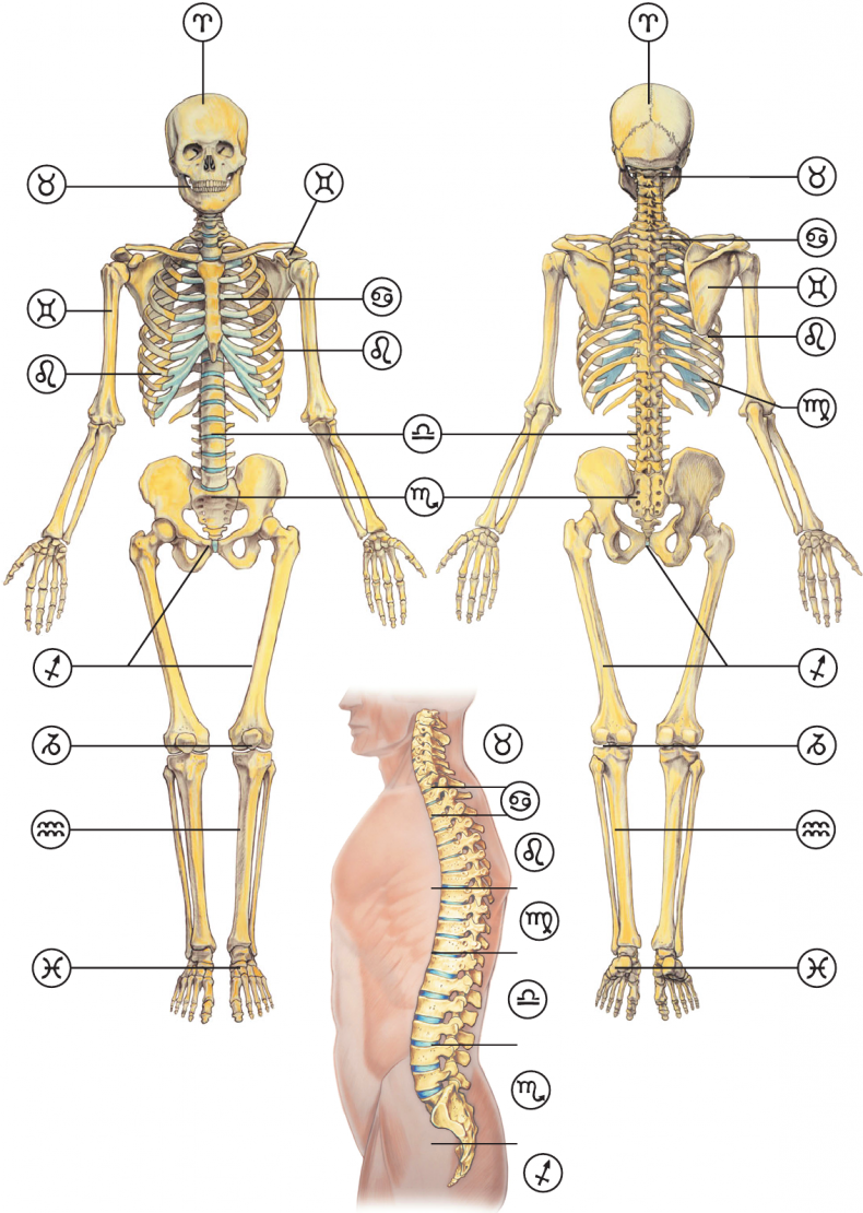Иллюстрация к книге — Секреты классической медицинской астрологии. Древние способы постановки диагноза, выбора времени и оптимальных способов лечения [imgf53f048c7bdd4a45bb8f94e0951b2d5b.jpg]