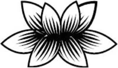 Иллюстрация к книге — Предатель в Северной Корее. Гид по самой зловещей стране планеты [i_003.jpg]