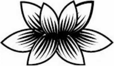 Иллюстрация к книге — Предатель в Северной Корее. Гид по самой зловещей стране планеты [i_004.jpg]