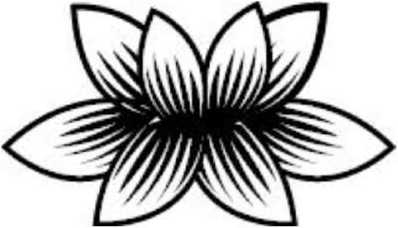 Иллюстрация к книге — Предатель в Северной Корее. Гид по самой зловещей стране планеты [i_005.jpg]