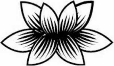 Иллюстрация к книге — Предатель в Северной Корее. Гид по самой зловещей стране планеты [i_006.jpg]