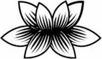 Иллюстрация к книге — Предатель в Северной Корее. Гид по самой зловещей стране планеты [i_007.jpg]