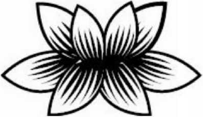 Иллюстрация к книге — Предатель в Северной Корее. Гид по самой зловещей стране планеты [i_053.jpg]