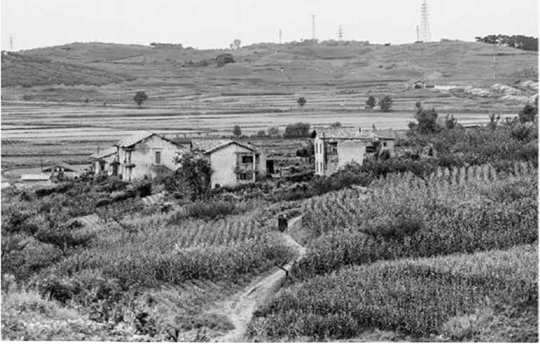 Иллюстрация к книге — Предатель в Северной Корее. Гид по самой зловещей стране планеты [i_077.jpg]