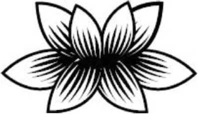 Иллюстрация к книге — Предатель в Северной Корее. Гид по самой зловещей стране планеты [i_087.jpg]