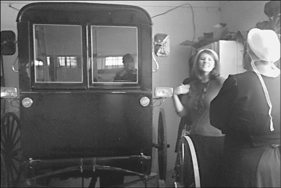 Иллюстрация к книге — Как я год жила по Библии [i_047.jpg]