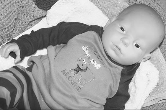 Иллюстрация к книге — Как я год жила по Библии [i_066.jpg]